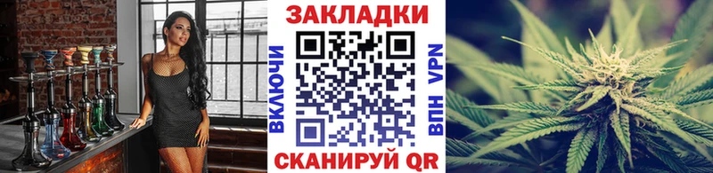 Где найти наркотики Новоалтайск Alpha PVP  МЕФ  Псилоцибиновые грибы  Cocaine 
