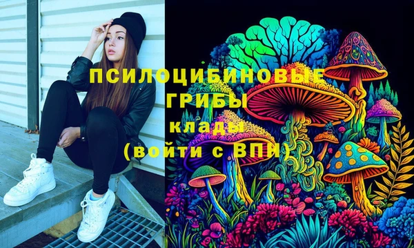 гашик Арсеньев