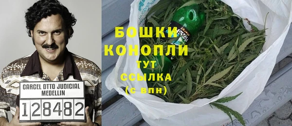 гашик Арсеньев
