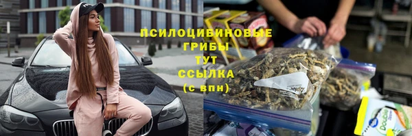 СК Армянск